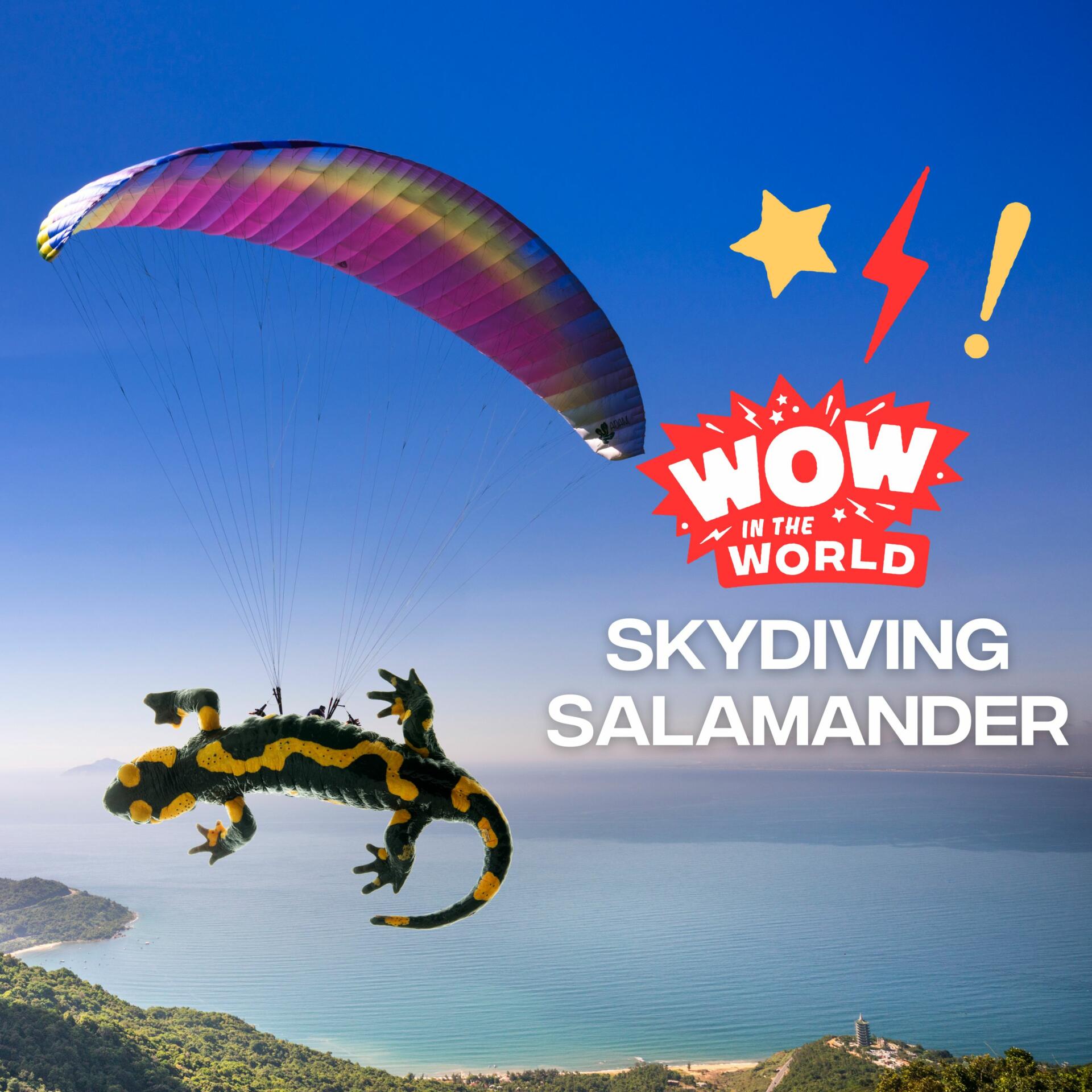 Skydiving Salamander Tinkercast