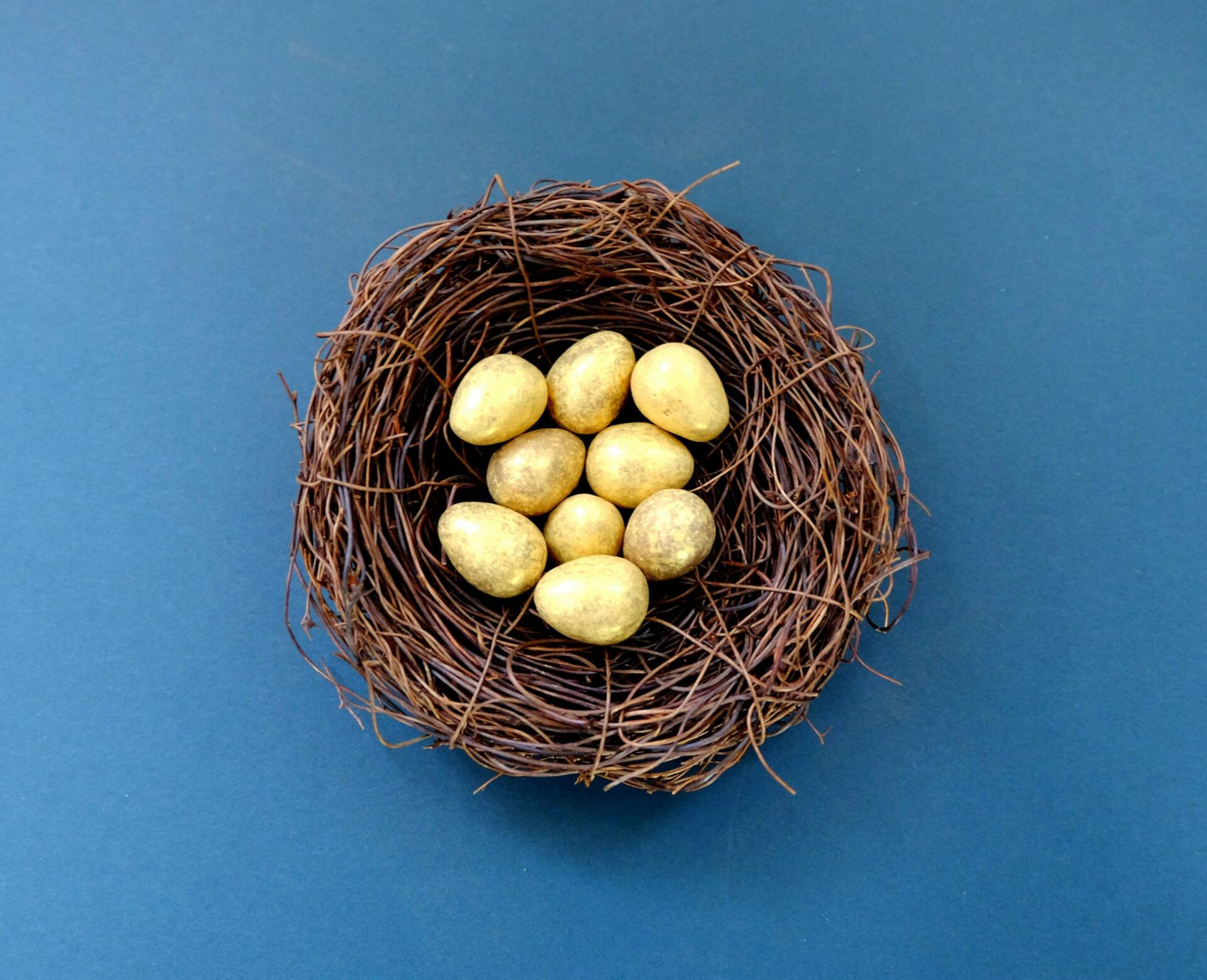 May contain a birds nest filled with nine golden eggs on a blue background.