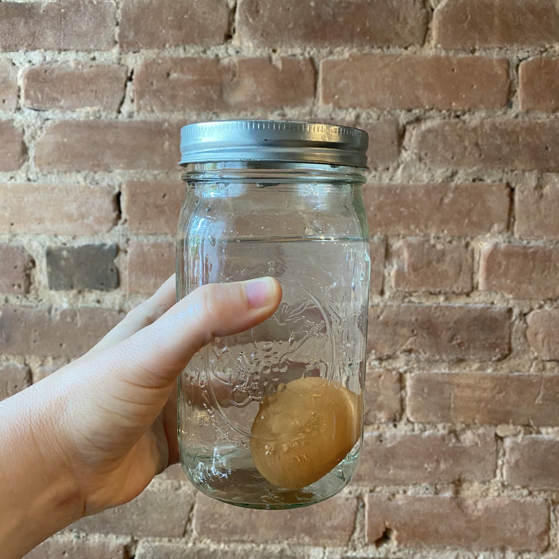 May contain a person holding a mason jar filled with water and an egg against a brick wall.