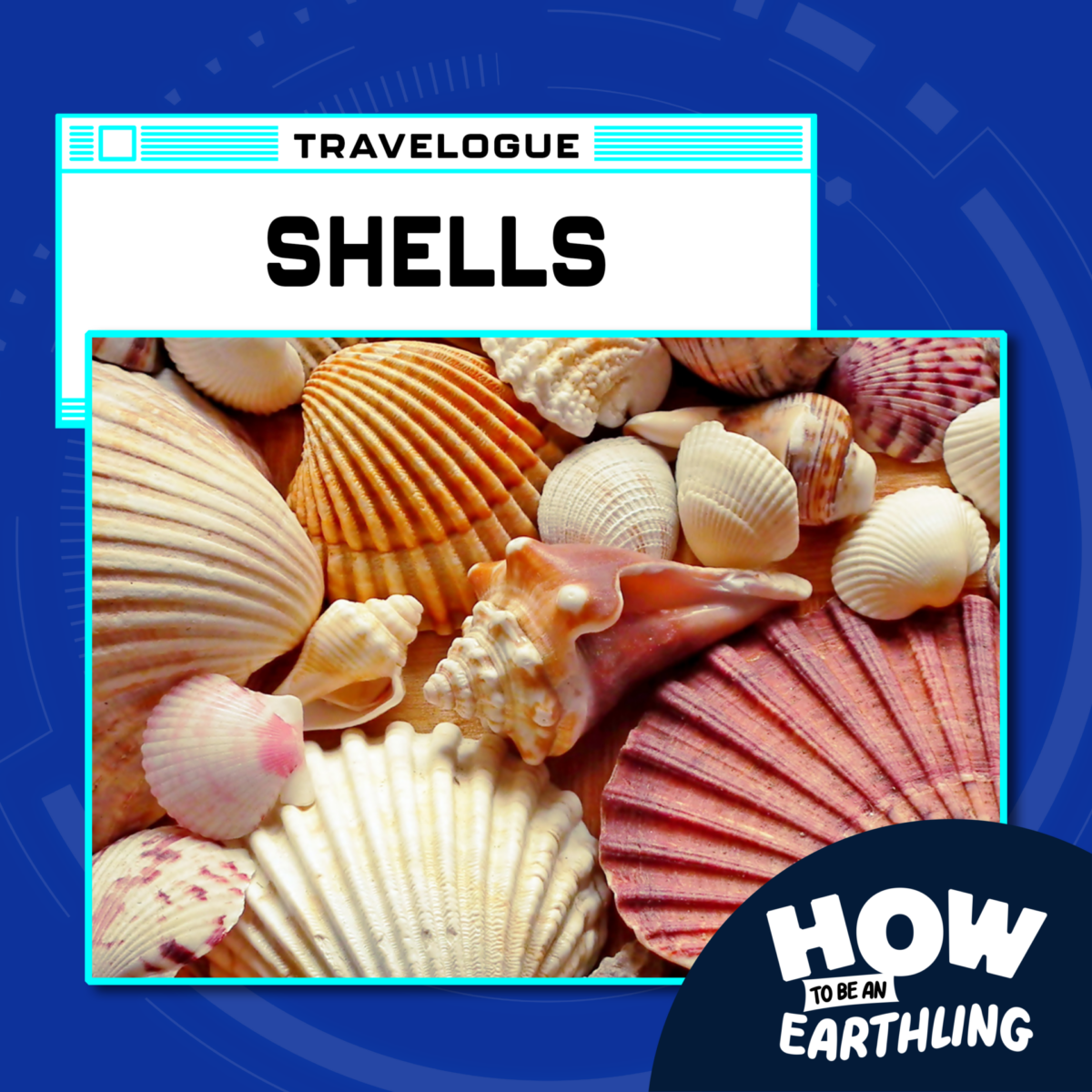 Travelogue-Shells