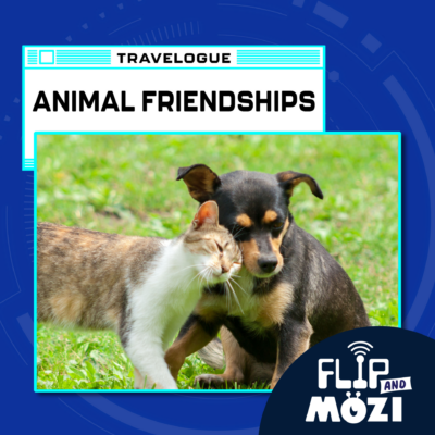 May contain a cat and a dog nuzzling in the grass, with text reading Travelogue Animal Friendships.