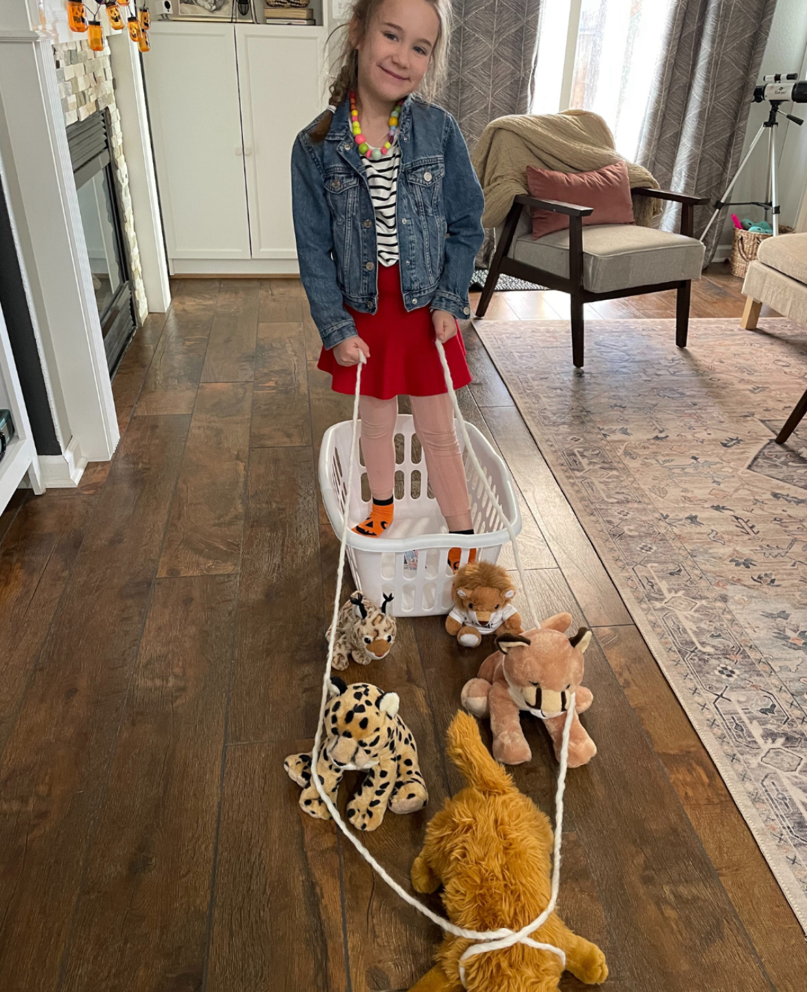 May contain a person standing in a laundry basket pulled by several stuffed animals.
