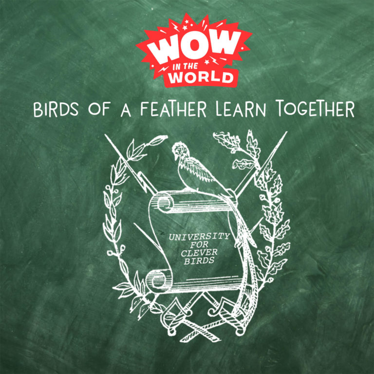 May contain a green chalkboard with the text "Wow in the World: Birds of a Feather Learn Together" and a bird logo.